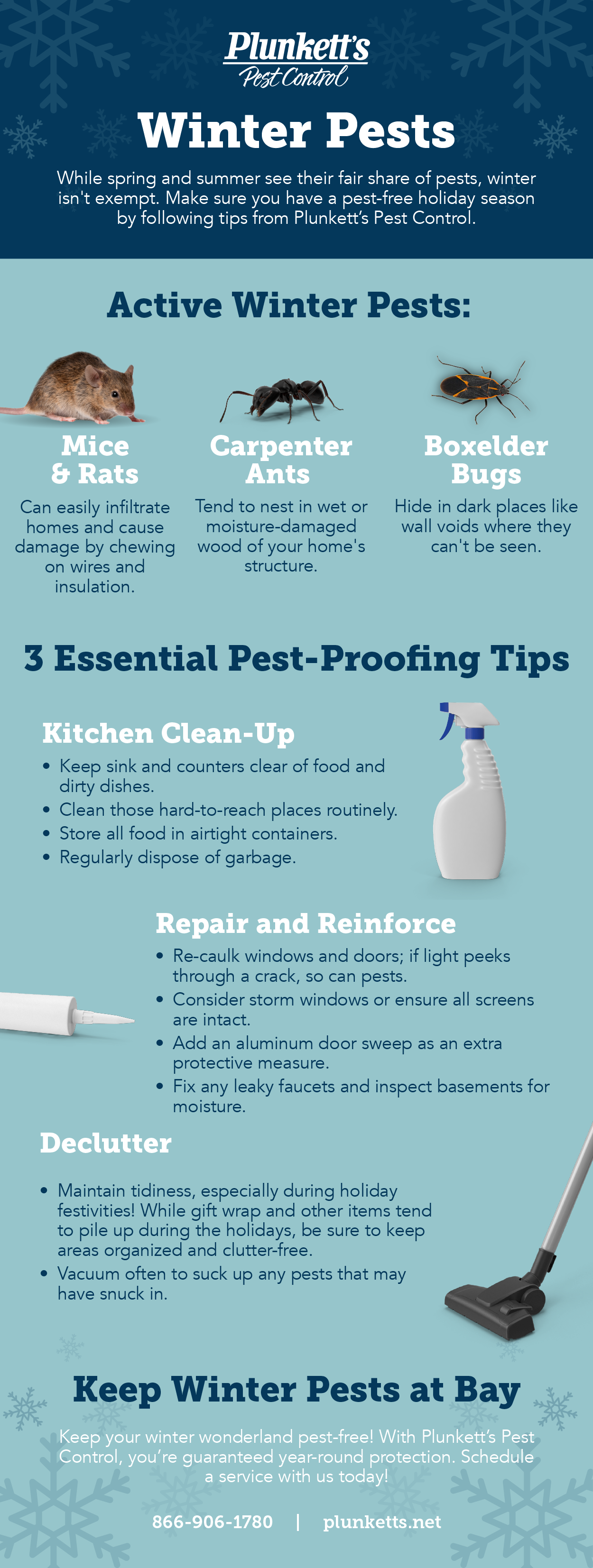 Winter Pests What to Look for and How to Avoid Them Plunkett's Pest